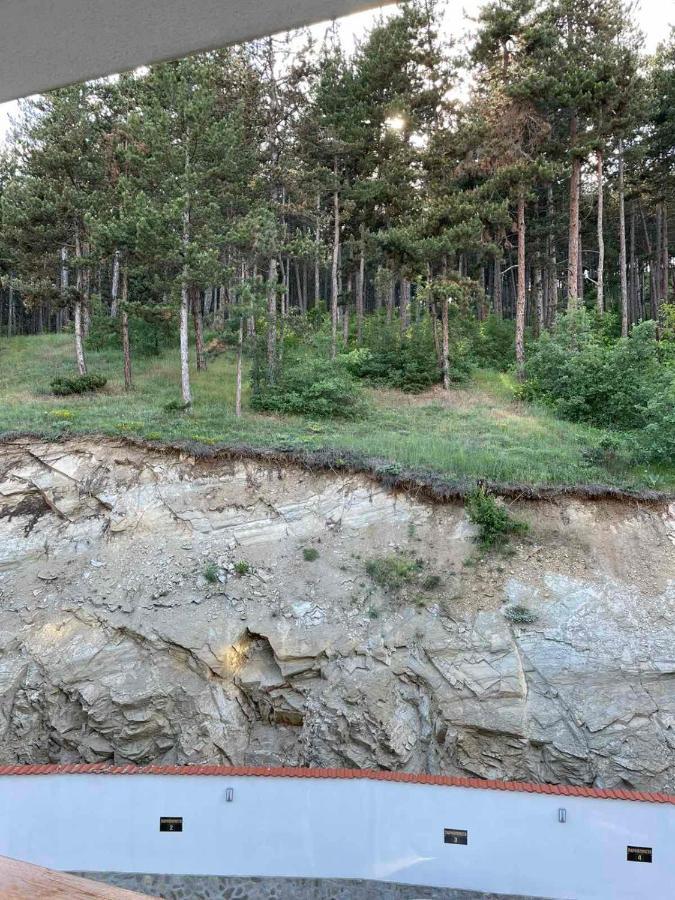 Апартамент Ванеса Velingrad Dış mekan fotoğraf